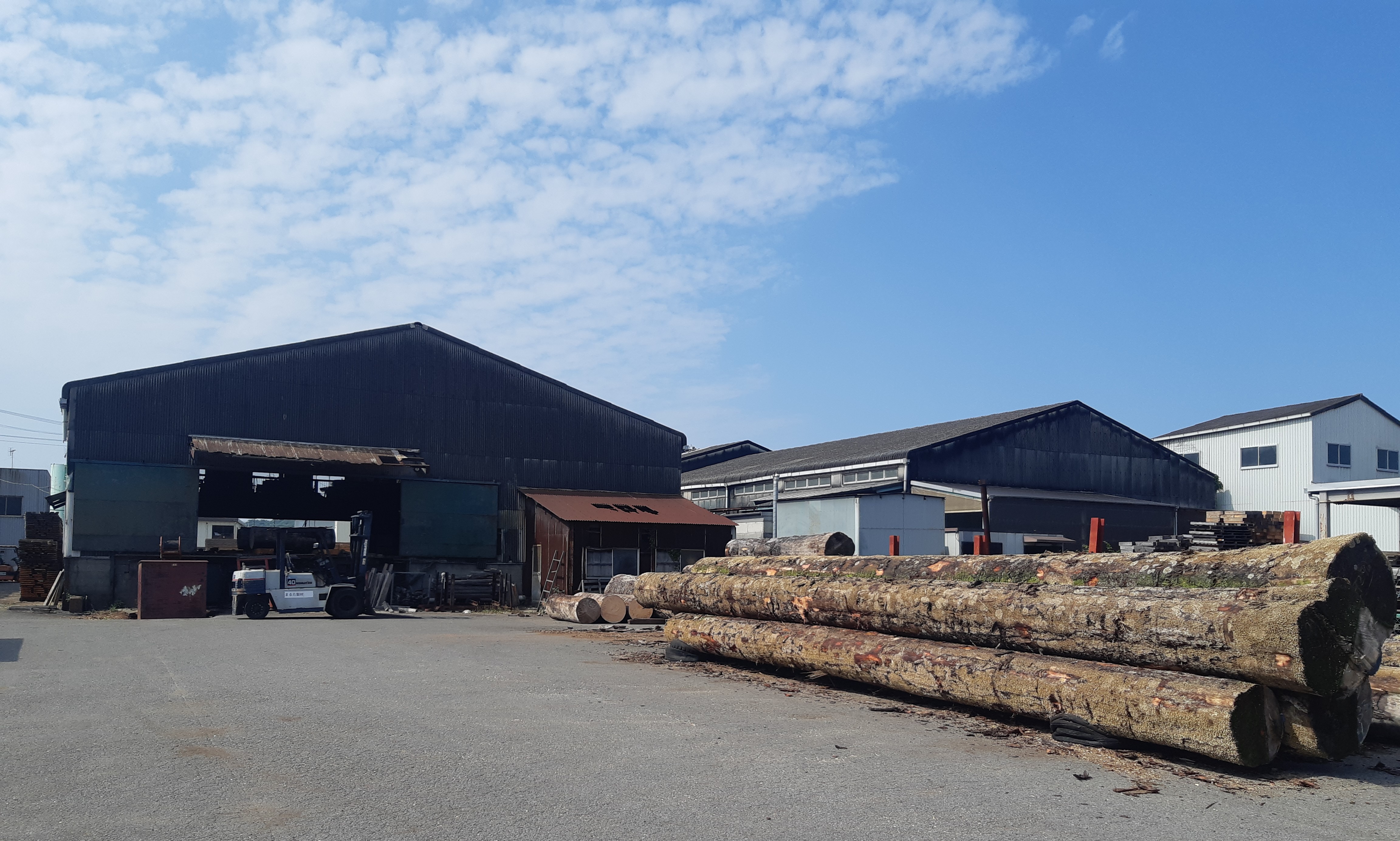 �܂邽����