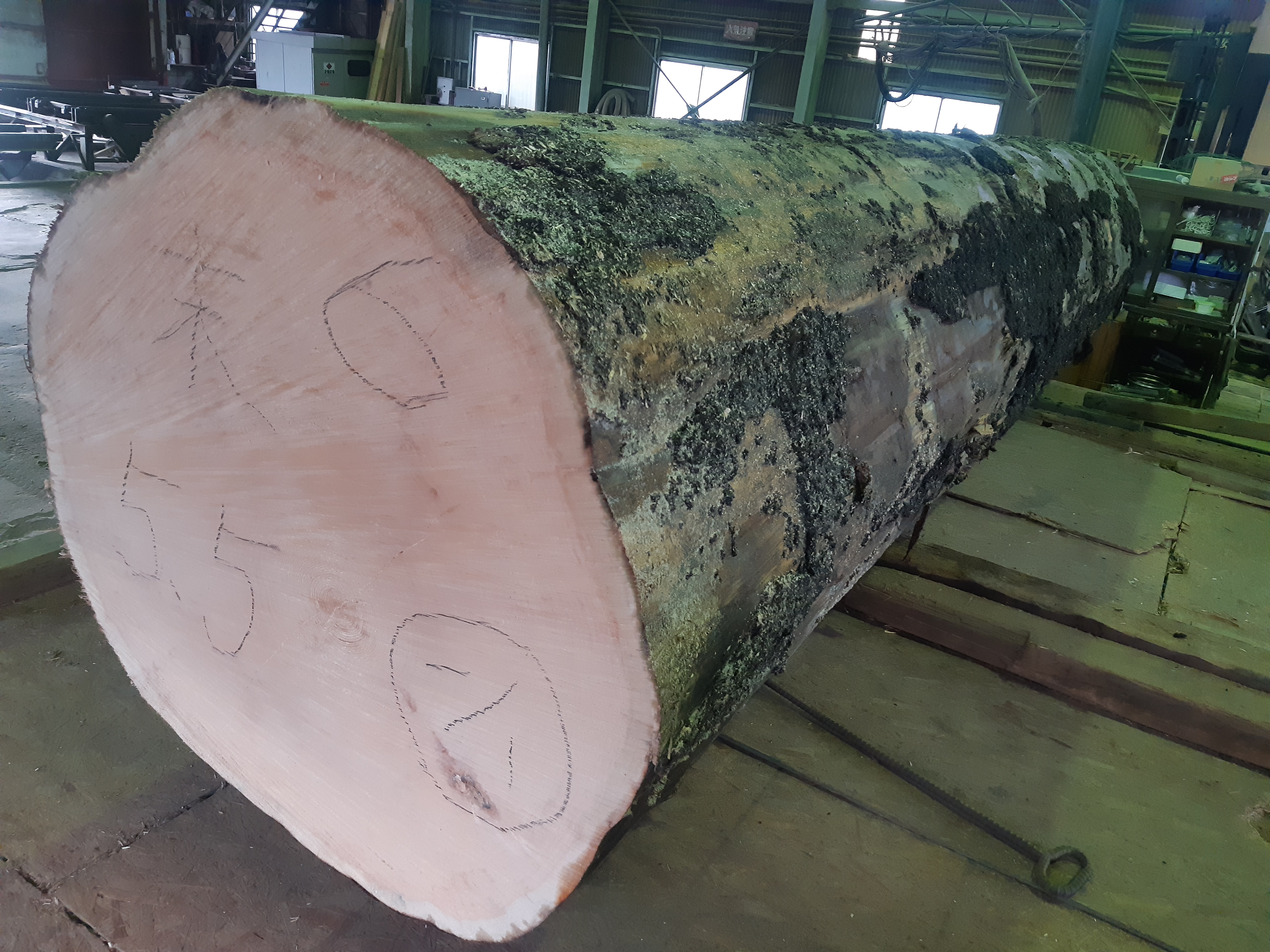 �܂邽����